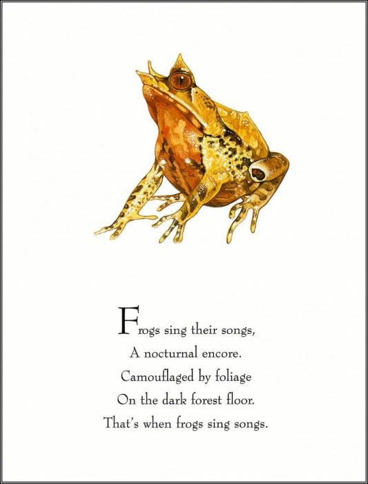 pa TonyOliver FrogsSingSongs 05a. , 