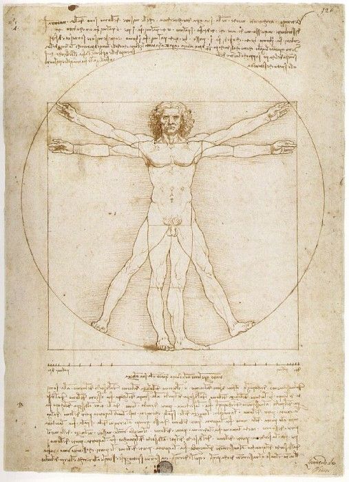 Leonardo - Vitruvian Man. ,  