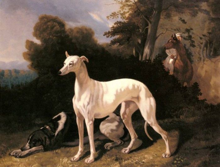 Dreux Alfred De A Greyhound In An Extensive Landscape. ,  