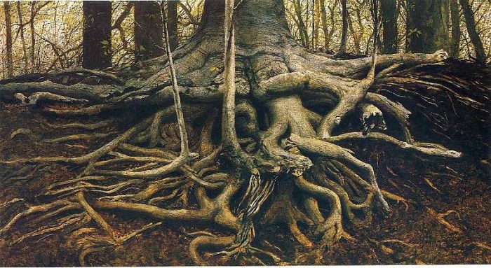 File8981. Wyeth, 