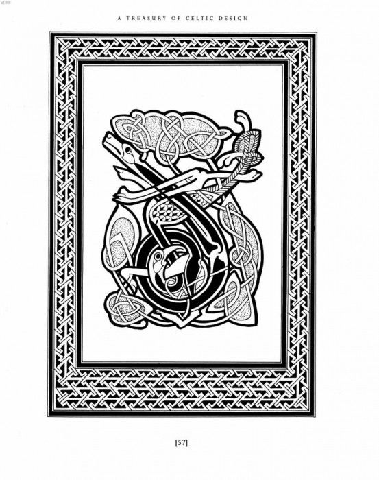 xlr8 cd53. �����, ������