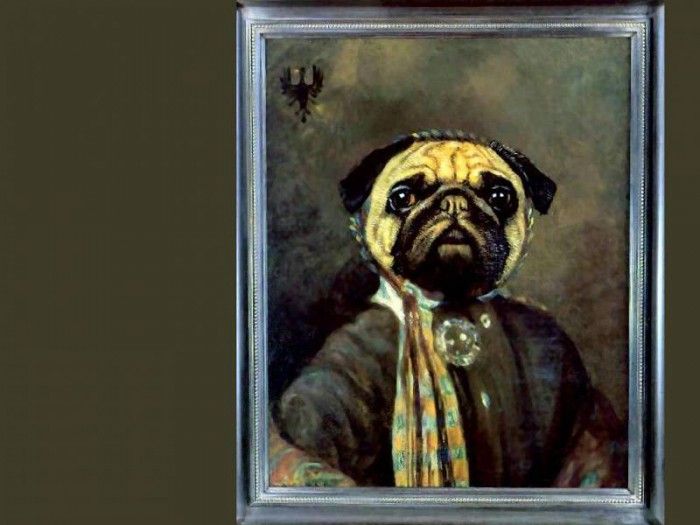 dog portraits csg039 madame dr hortense de mops. , 