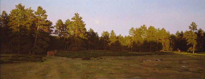 Moonrise over the Meadow. Gjertson, 