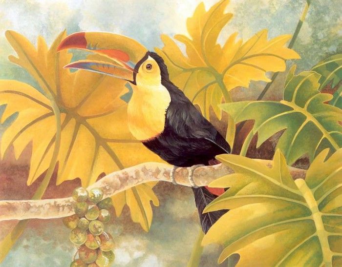 s4-vanishingspecies031-keelbilledtoucan. , L