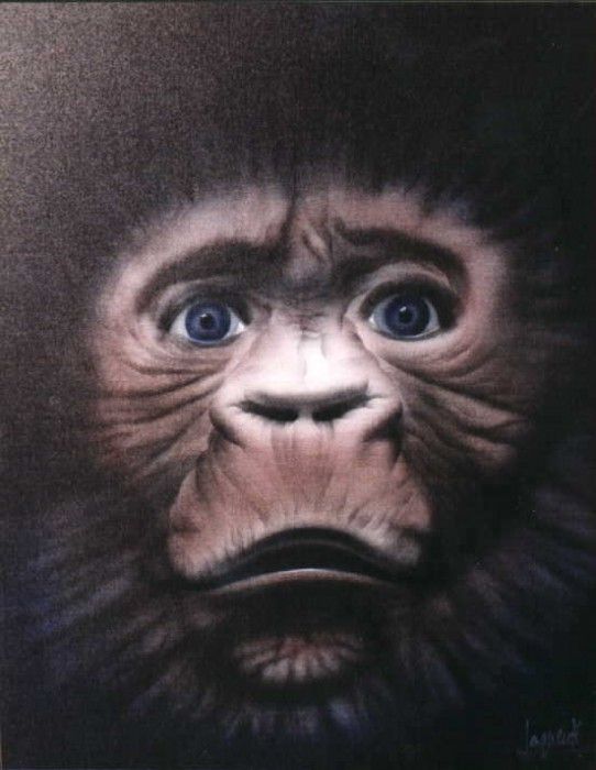 Primate. Saguez, 