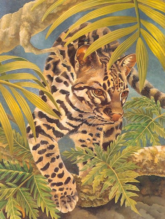 s4-vanishingspecies024 ocelot. Риган, L