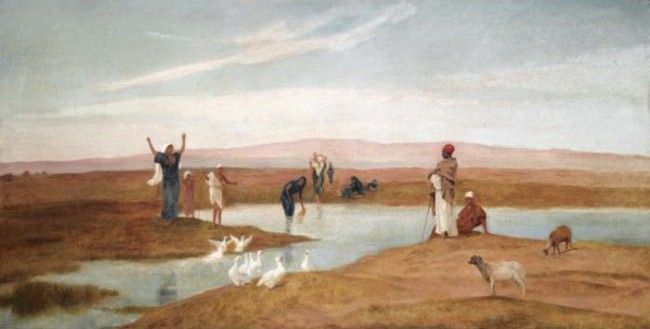 DRIVING DUCKS. ������, ��������