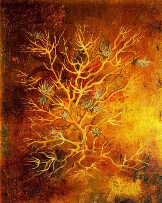 11542. Varo, ��������