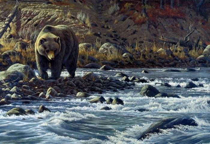 Wilhelm Goebel - SK Wildlife Federation Card-Bear, De. , 