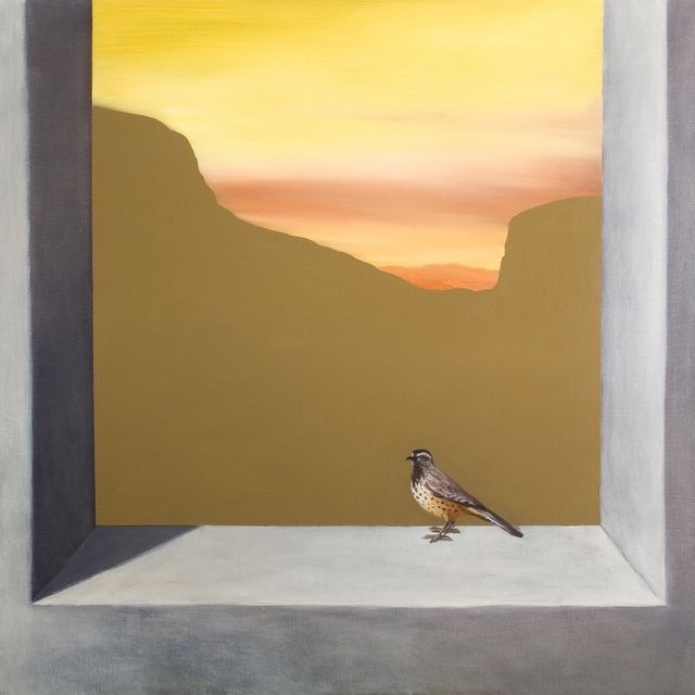 bird. Zetterstrand, 