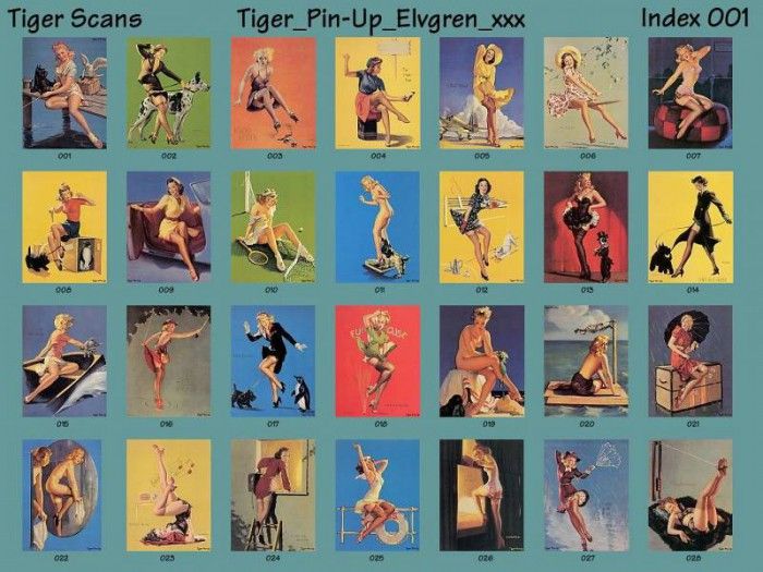 TIGER PIN-UP ELVGREN IDX001.  Elvgren