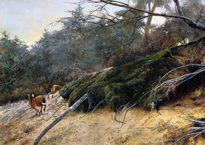 Verstappen Pieter Nature 17 Sun. Verstappen, �����