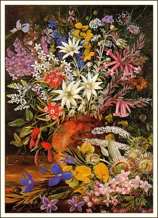 bs-flo- Marianne North- Wildflowers New South Wales. , 