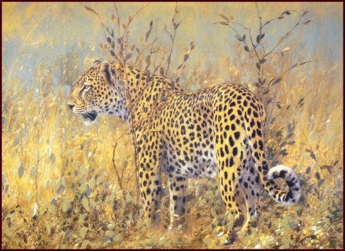 lrsAfrica09DonaldsonKim Leopard. , 