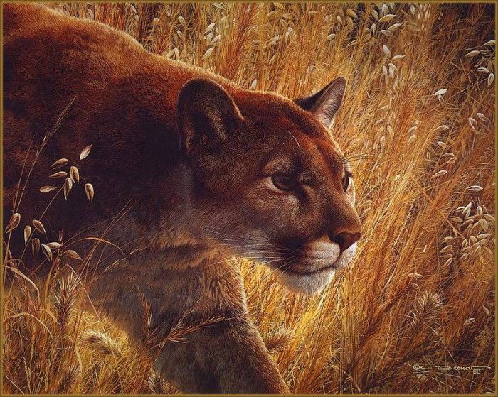 lrsBendersCarl-PredatorsWalk. , 