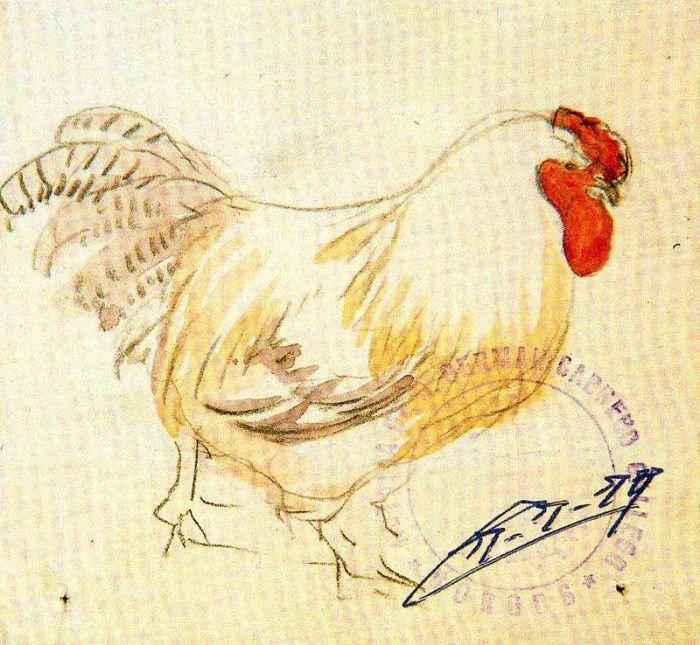 4DPictuyj. Pinole, �������