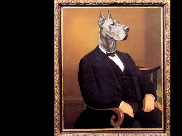 dog portraits csg002 lars hamlet knudsen. , 