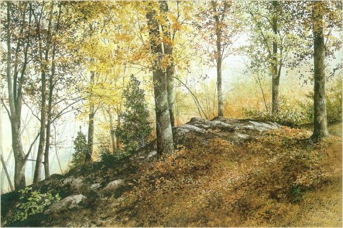 HendershotRay UpInTheWoods sj. Hendershot, 