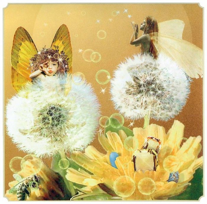 kb Cross Tom Sp Dandelion Fairy. , 