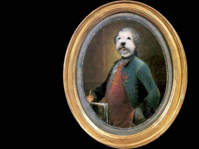 dog portraits csg009 le vicomte de dogerelle. , 