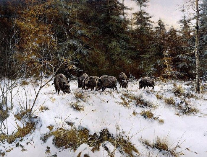 Verstappen Pieter Nature 14 Sun. Verstappen, �����