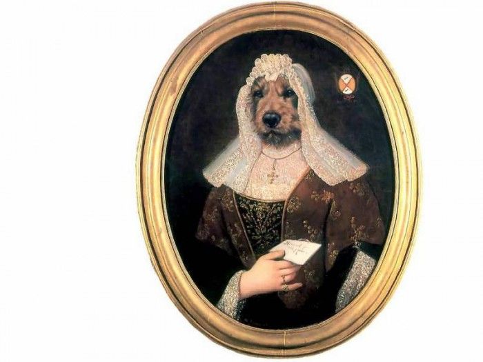 dog portraits csg043 frau irmtraud katzundhunde. , 
