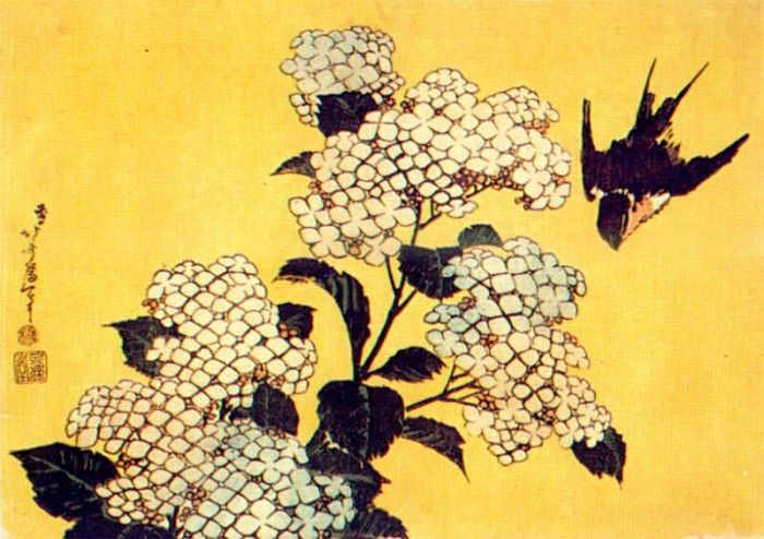 hokusai hydrangea and swallow 1834. 