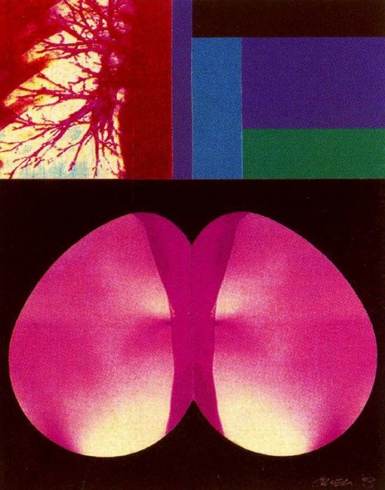 46263. Cillero, ������