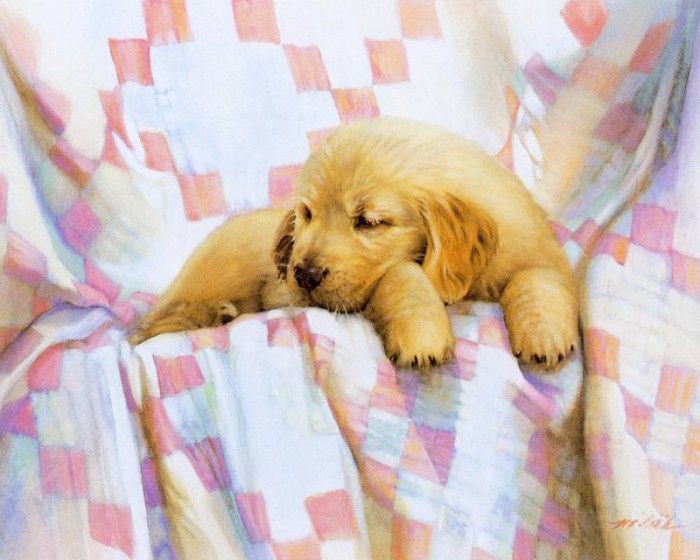 kb Noel Nancy-Golden Puppy. , 