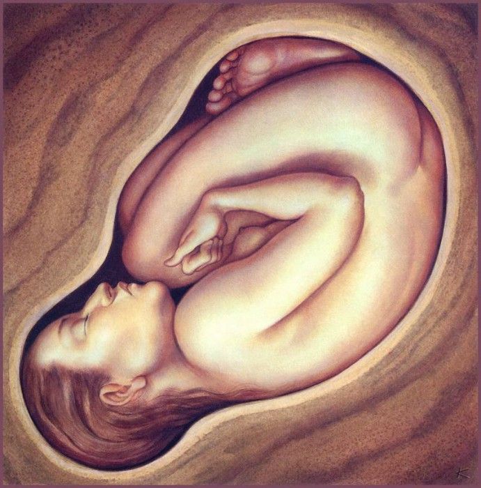 lrsSPEC11-257-KunzAnita-Womb. , 