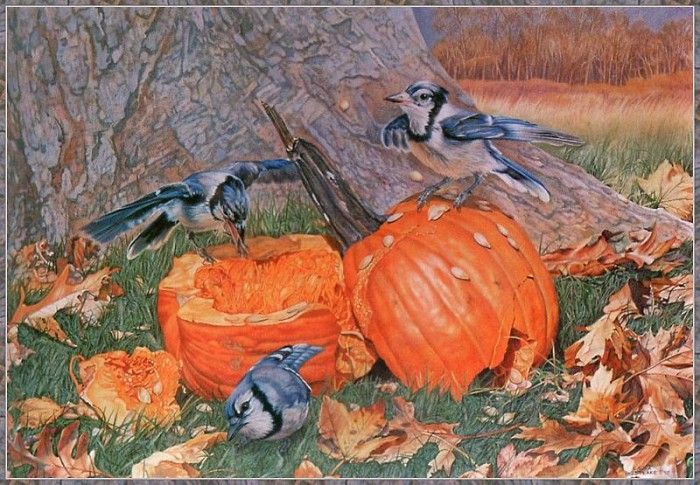 cr LauraWestlake-BluejaysFirstAutumn. Westlake, 