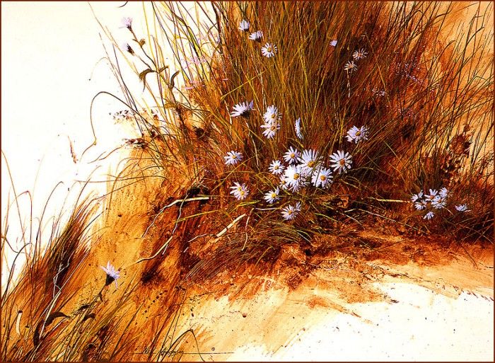 bs-flo- Neil H Adamson- Salt Water Asters. ,  H