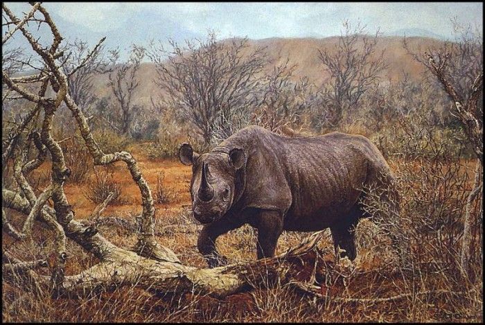 lrsCombesSimon-Rhino. , 