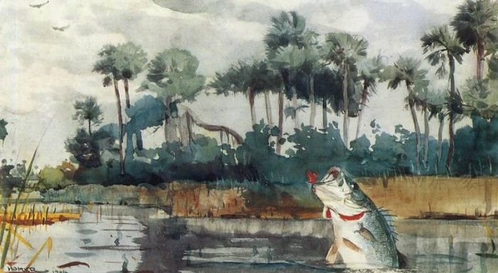 Homer Winslow Black Bass Florida. , 