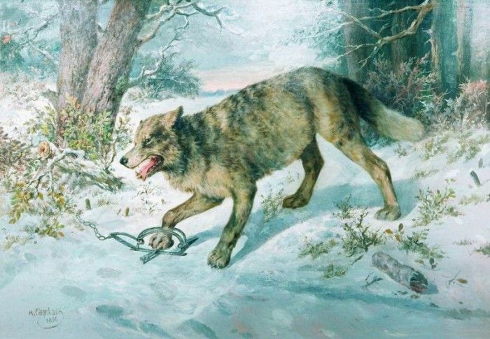  . 1896.    (1817-1898)