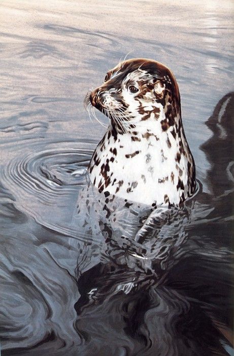Parker, Ron - Harbor Seal (end. ������, ���