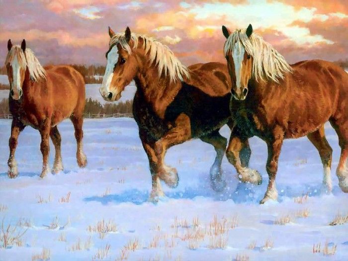 horses in the mist csg002 winter gold belgians. , 