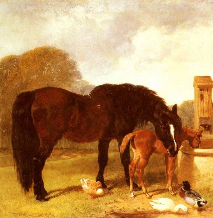 Herring Snr John Frederick Horse And foal Watering At A Trough. ,  