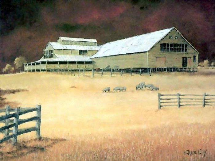 clarrie cox csg042 windy near quirindi. ����, ������