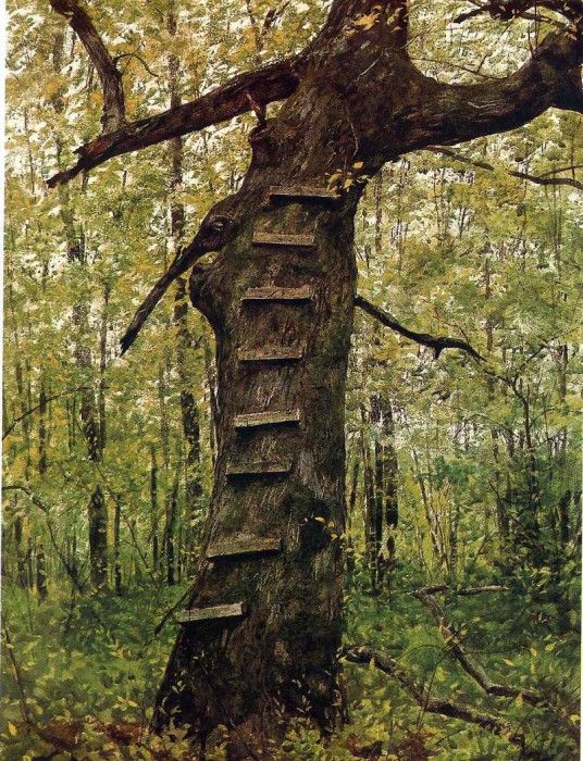 File8975. Wyeth, 
