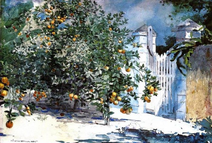 Homer Winslow Orange Tree Nassau aka Orange Trees and Gate. , 