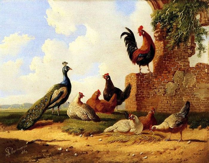 Verhoeven Albertus Birds Sun . ��������, �������