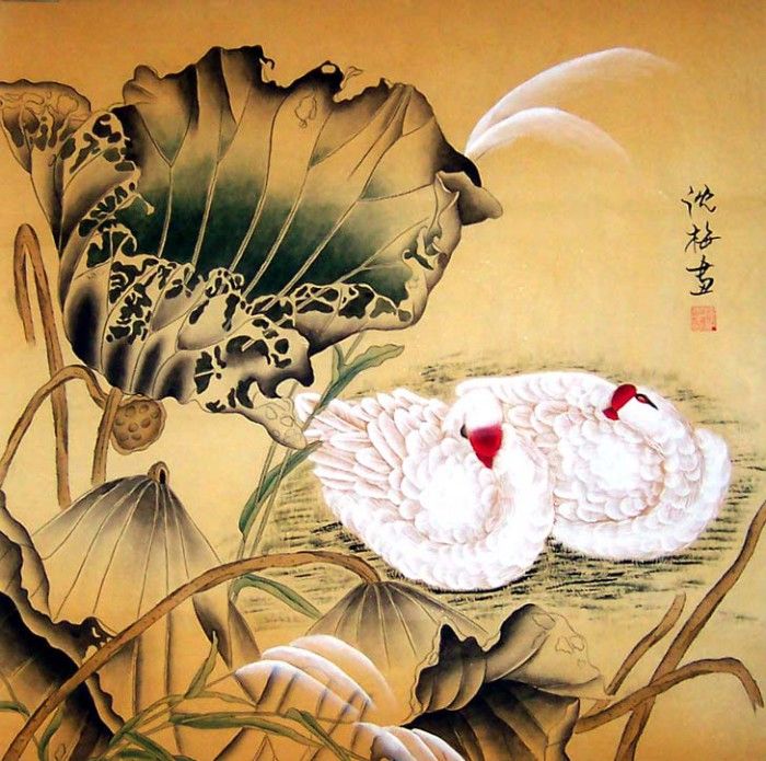 Shen Mei5g2309. , 
