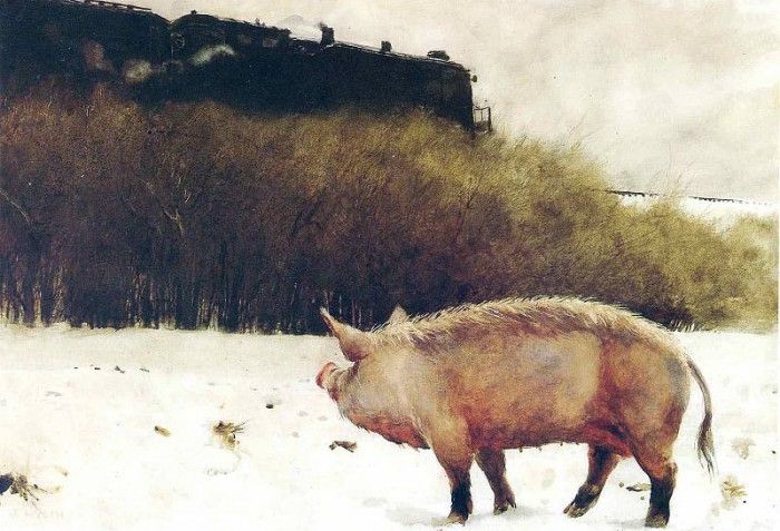 File8970. Wyeth, 