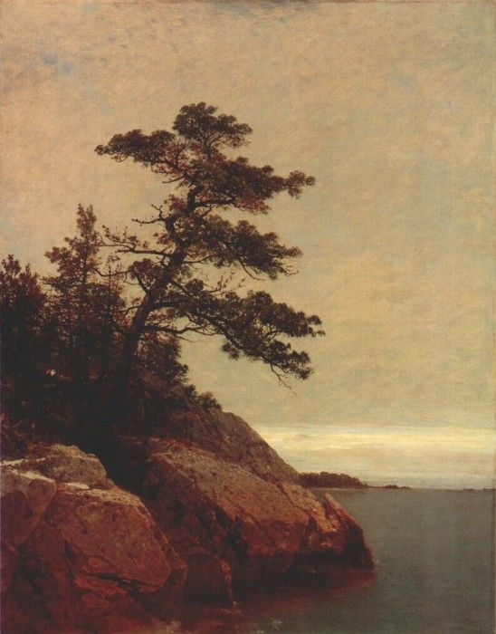 kensett the old pine, darien, connecticut 1872. Kensett