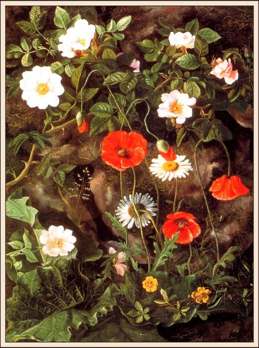 bs-flo- Augusta Laessoe- Wild Roses Poppies And Maguerites. Laessoe, Augusta