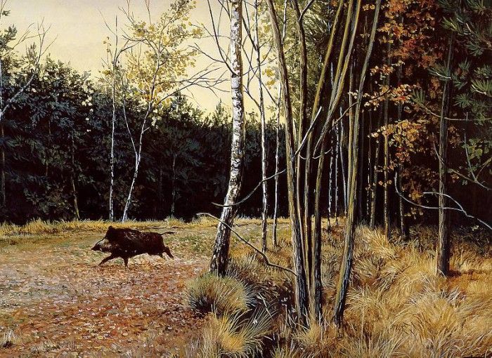 Verstappen Pieter Nature 50 Sun. Verstappen, 