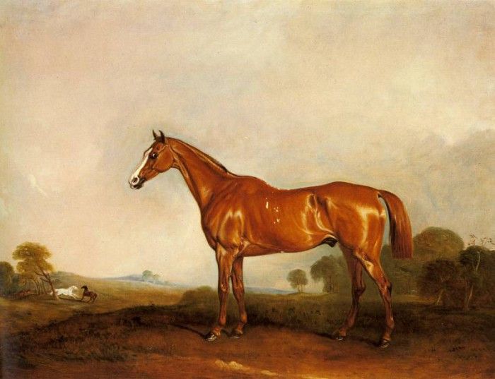 Ferneley Sr John E A Chestnut Hunter In A Landscape. Ferneley, 