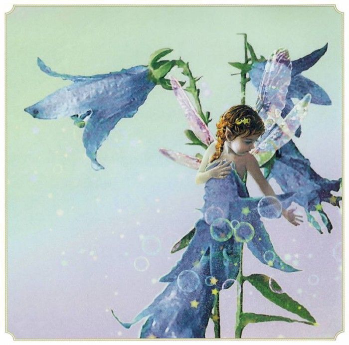 kb Cross Tom Aut Bluebell Fairy. , 