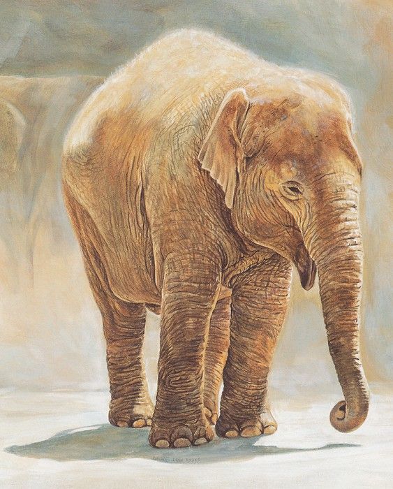 bs- Charles Lynn Bragg- Baby Indian Elephant. ,  